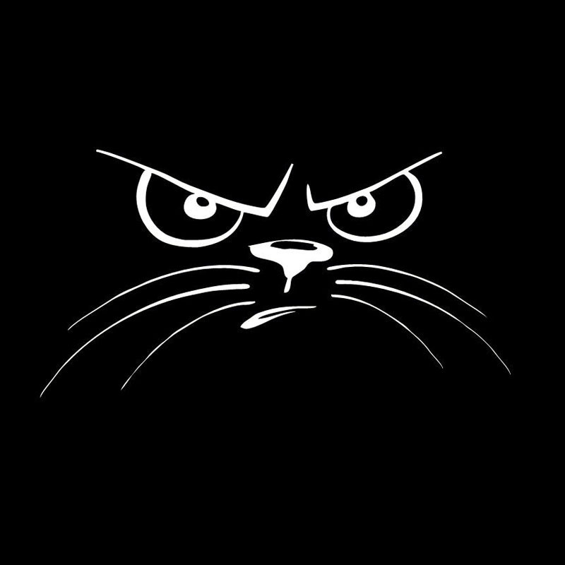 Not Happy Cat Face sticker for cars